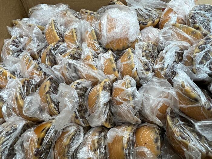 20240530_125611_bUjHPm